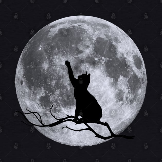 Moon Kitty by Lucia